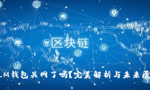 XLM钱包关网了吗?完美解析与未来展望