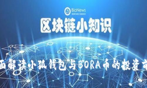 全面解读小狐钱包与BORA币的投资前景