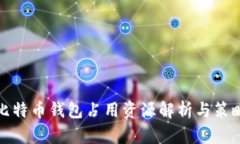 比特币钱包占用资源解析与策略