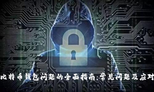 解决比特币钱包问题的全面指南:常见问题及应对措施