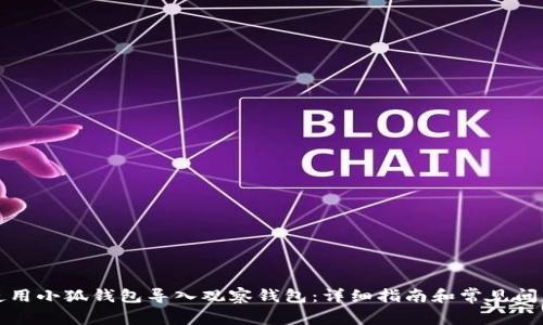 如何使用小狐钱包导入观察钱包:详细指南和常见问题解答