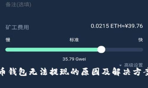 比特币钱包无法提现的原因及解决方案详解