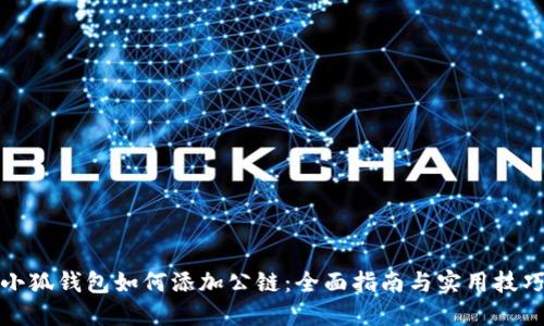 小狐钱包如何添加公链:全面指南与实用技巧