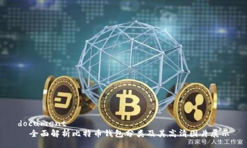 document
全面解析比特币钱包分类及其高清图片展示