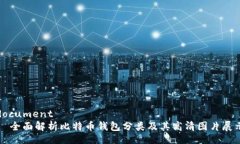 document  全面解析比特币钱包分类及其