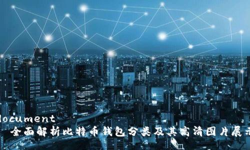 document
全面解析比特币钱包分类及其高清图片展示