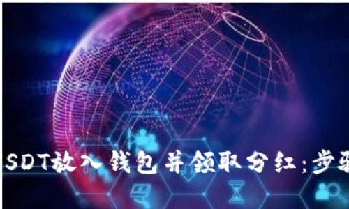 如何将USDT放入钱包并领取分红:步骤与建议