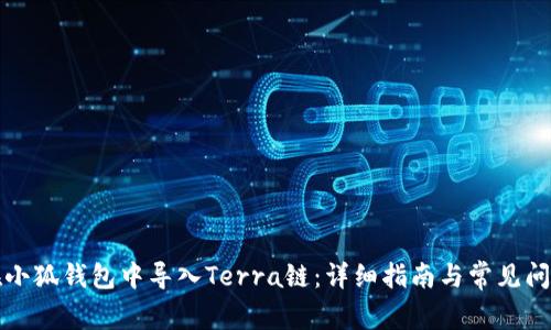 如何在小狐钱包中导入Terra链:详细指南与常见问题解答