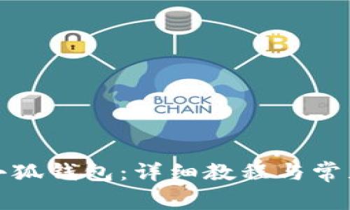 如何设置小狐钱包:详细教程与常见问题解答