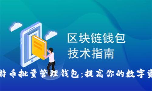 全面解析比特币批量管理钱包:提高你的数字资产管理效率