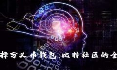 如何选择分叉币钱包：比特社区的全面