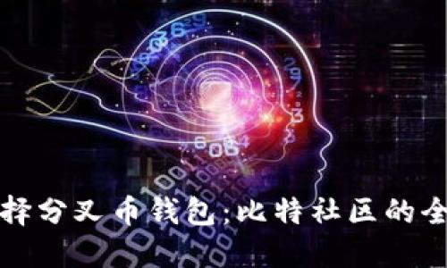 如何选择分叉币钱包:比特社区的全面指南