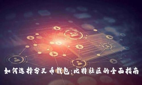 如何选择分叉币钱包:比特社区的全面指南