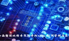 全面解析比特币钱包中的xpub：如何管