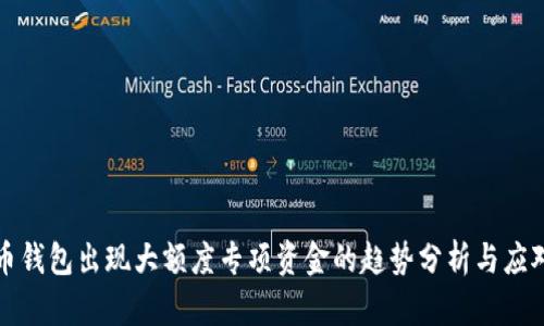 比特币钱包出现大额度专项资金的趋势分析与应对策略