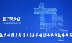 小狐钱包里的图片是什么？全面解读小