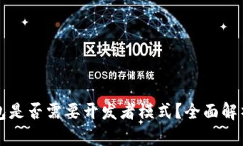 小狐钱包是否需要开发者模式?全面解析与应用