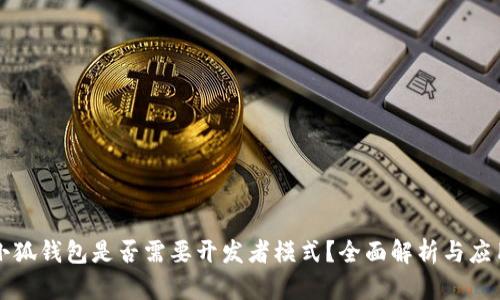 小狐钱包是否需要开发者模式?全面解析与应用
