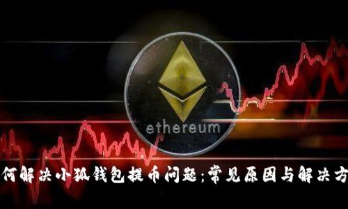 如何解决小狐钱包提币问题:常见原因与解决方案