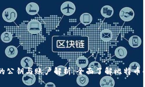 比特币钱包的公钥与账户解析:全面了解比特币的安全与使用