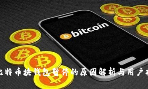: 比特币块钱包暂停的原因解析与用户指南