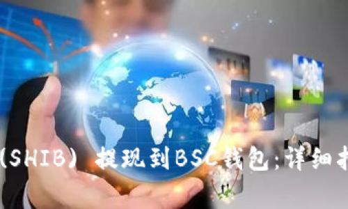 如何将Shiba Inu (SHIB) 提现到BSC钱包:详细指南与常见问题解答