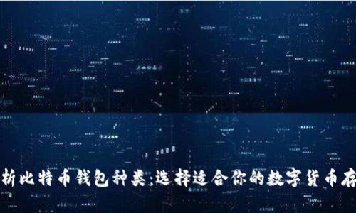 全面解析比特币钱包种类:选择适合你的数字货币存储方案