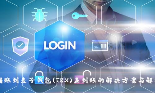 转账到麦子钱包(TRX)未到账的解决方案与解析