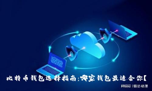比特币钱包选择指南:哪家钱包最适合你?