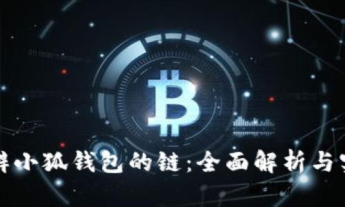 如何分辨小狐钱包的链:全面解析与实用指南