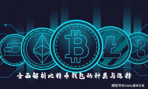 全面解析比特币钱包的种类与选择