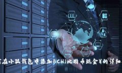如何在小狐钱包中添加BCH（比特币现金