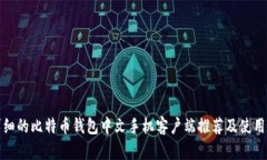 最详细的比特币钱包中文手机客户端推