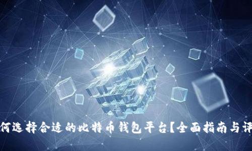 如何选择合适的比特币钱包平台?全面指南与评测