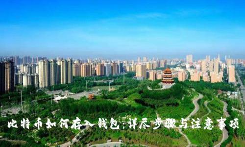 比特币如何存入钱包:详尽步骤与注意事项