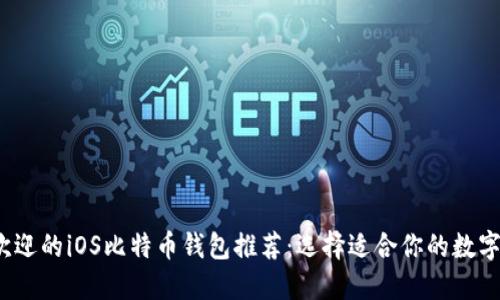 2023年最受欢迎的iOS比特币钱包推荐:选择适合你的数字资产管理工具