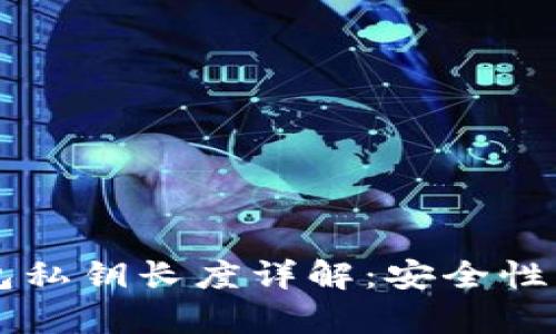 以太坊钱包私钥长度详解:安全性与风险分析