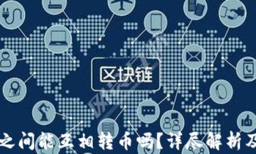瑞波钱包之间能互相转币吗?详尽解析及使用指南