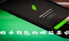 全面解析比特币钱包的邮箱要求及其安