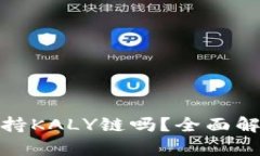 : 小狐钱包支持KALY链吗？全面解析与使