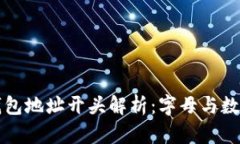 比特币钱包地址开头解析：字母与数字