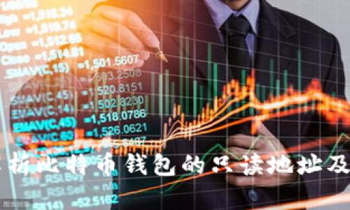详细解析比特币钱包的只读地址及其应用