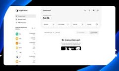 如何使用MetaMask扩展程序：完整指南