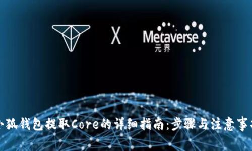 小狐钱包提取Core的详细指南：步骤与注意事项