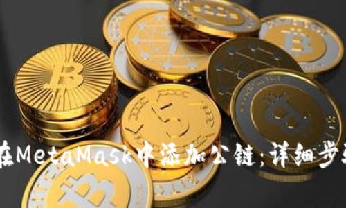 biatoti如何在MetaMask中添加公链:详细步骤和注意事项