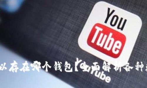 20链USDT可以存在哪个钱包?全面解析各种数字钱包选择