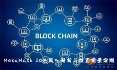 MetaMask ICO：深入解析与投资前景分析
