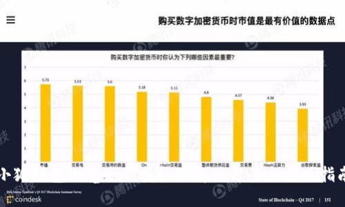 小狐钱包浏览器不授权的解决方案与使用指南