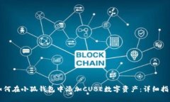 如何在小狐钱包中添加CUBE数字资产：