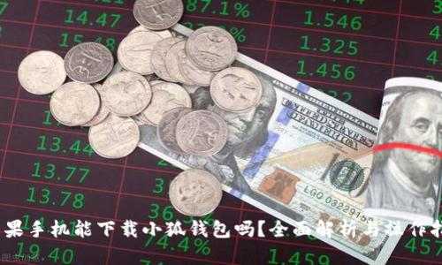 :苹果手机能下载小狐钱包吗?全面解析与操作指南